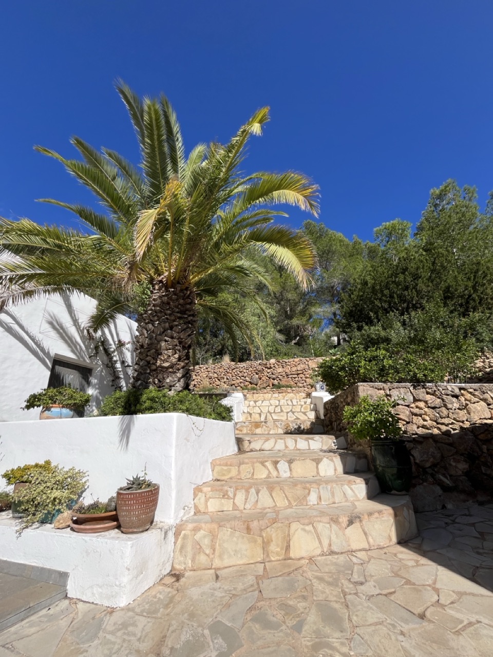 trappen exterior .jpeg